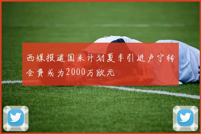 西媒报道国米计划夏季引进卢宁转会费或为2000万欧元